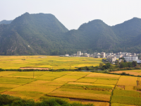 金秋十月，美丽田园