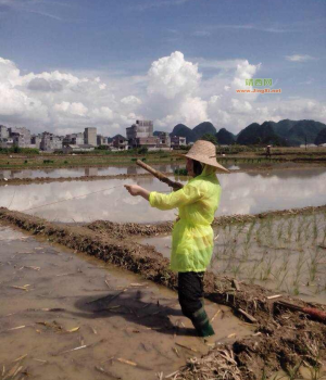 这样的场景，一年比一年少了