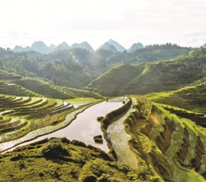 靖西巴泽梯田：壮观美丽的天梯