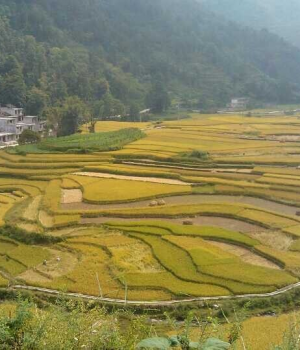 传说中靖西巴泽梯田，这个假期不去看你就亏了