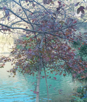 我的家乡美景，冬天更美