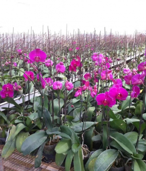 爆颜值我带头，谁一起爆？？？