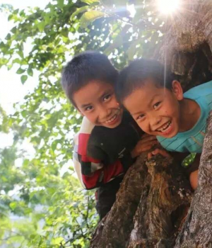 激情燃烧的岁月