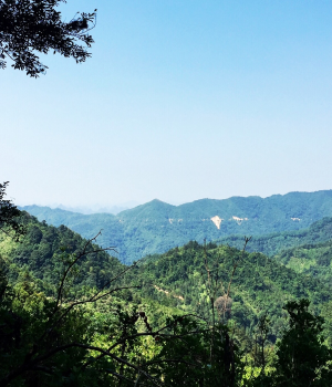 靖西小高原-----乌鸦山