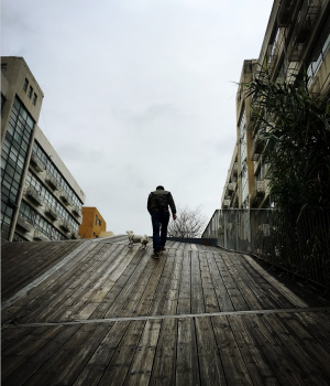 那人，那坡，那狗