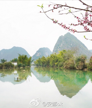 靖西：十里桃花开，三生三世