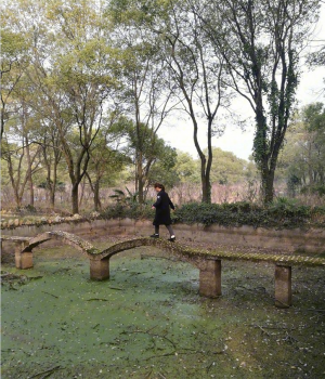 走在桥上的女孩