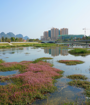 春风又绿龙潭岸