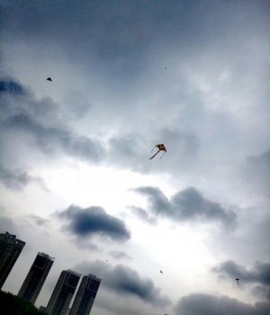 先生，你的猫掉了