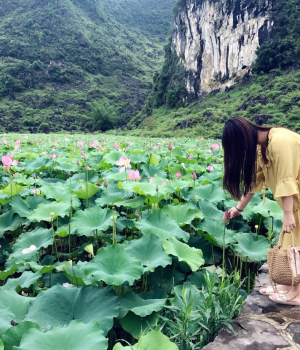 仙女误入靖西菏花池