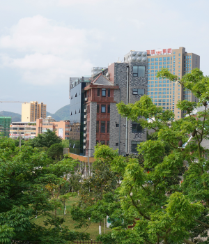 上山看风景，边城好风光。