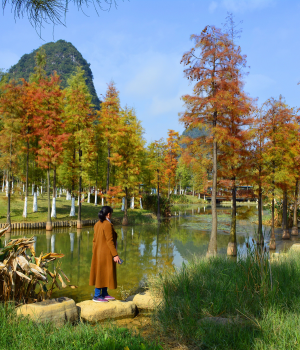 湿地公园，醉美秋色