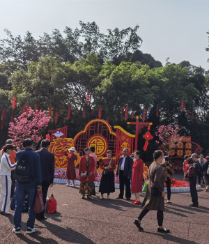 2024约在南宁石门公园樱花节