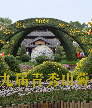 2024南宁青秀山菊花展