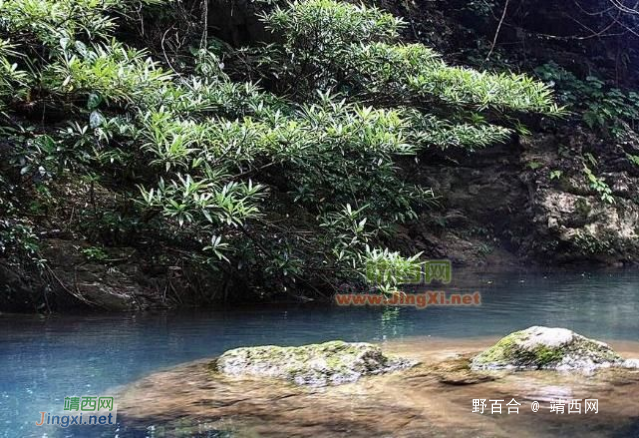 湖润镇古龙山峡谷群漂流景区 - 靖西网