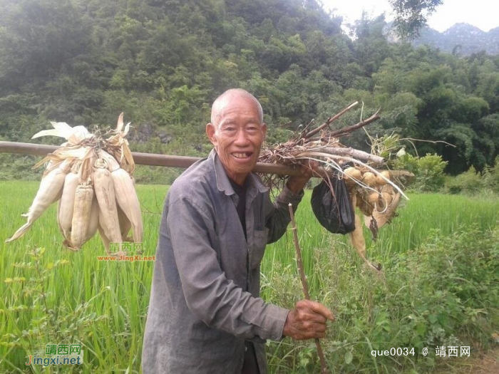 一辈子勤劳，爷孙俩的语言 - 靖西网