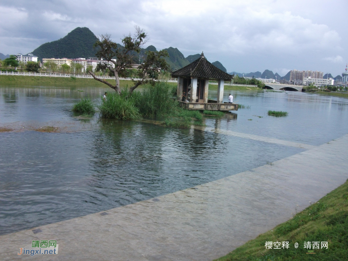 海鸥轰轰烈烈的来，搞得龙潭流了好多水，现在又悄悄的又走了 - 靖西网