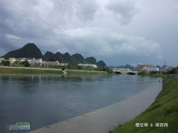 海鸥轰轰烈烈的来，搞得龙潭流了好多水，现在又悄悄的又走了 - 靖西网