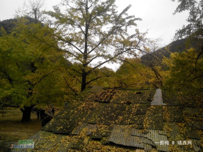 让我睡不着觉的场景 - 靖西网