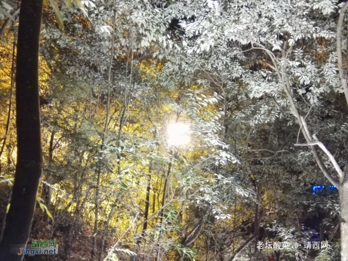 手机镜头下的靖西夜景，金银山成靖西标志 - 靖西网