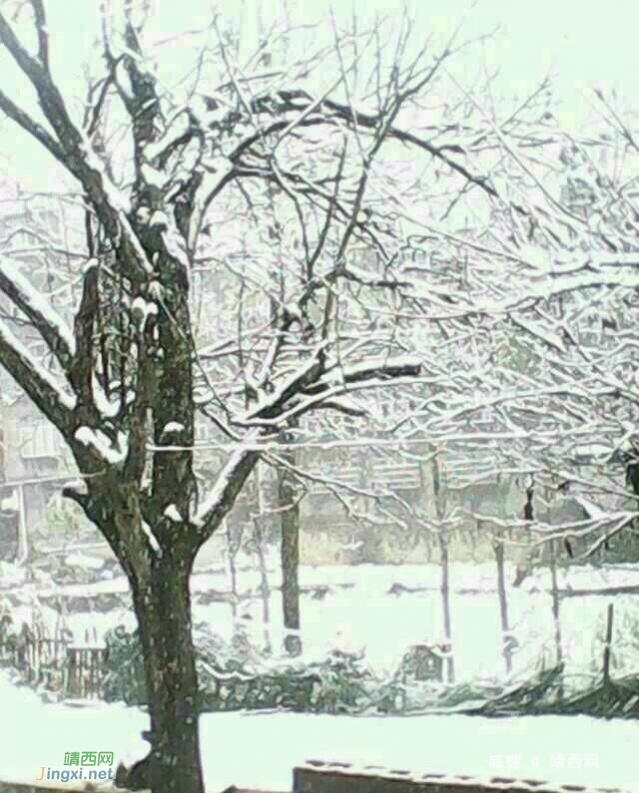 今天隆林下雪了，靖西冷吗 - 靖西网