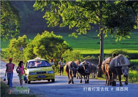 喧嚣城市无法拥有的靖西慢生活 - 靖西网