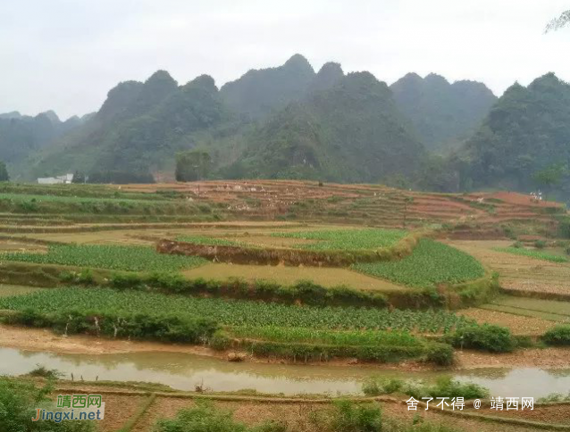 家乡山清绿水，可惜明天又出发到外地打工了。。。。。 - 靖西网