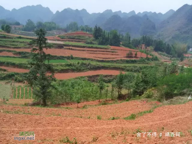 家乡山清绿水，可惜明天又出发到外地打工了。。。。。 - 靖西网