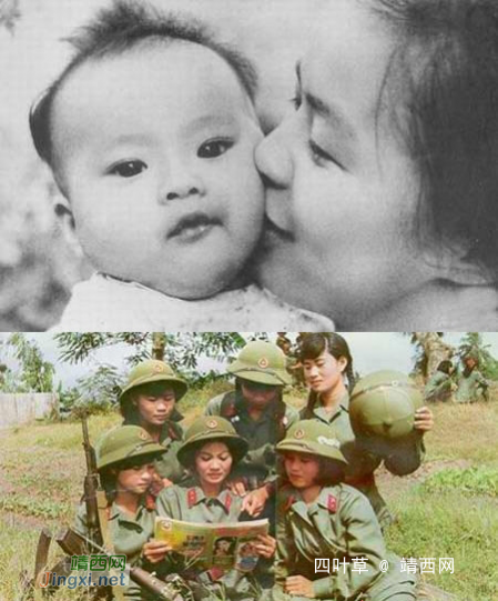 对越反击战：越南女兵的尸体成战争法宝（1） - 靖西网