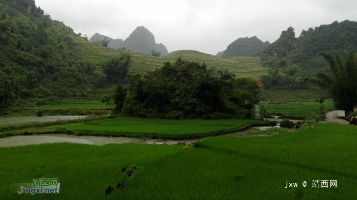 靖西其龙村大屯，中越边境上的美丽小山村。 - 靖西网