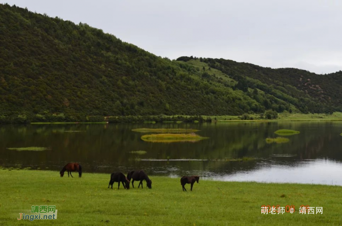 暑假游香格里拉，一个美丽而神奇的香格里拉 - 靖西网