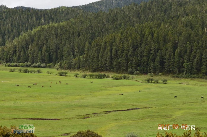 暑假游香格里拉，一个美丽而神奇的香格里拉 - 靖西网