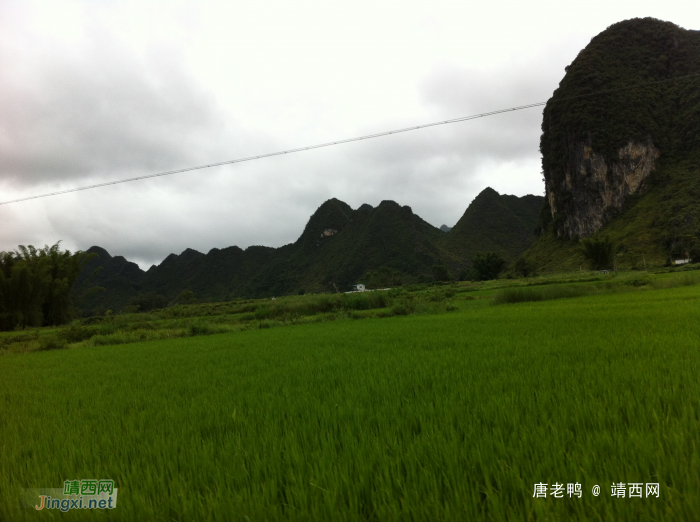 鹅泉风景，风景中的别墅，路过偷拍几张 - 靖西网