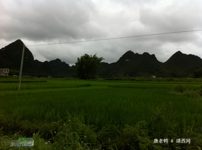 鹅泉风景，风景中的别墅，路过偷拍几张 - 靖西网