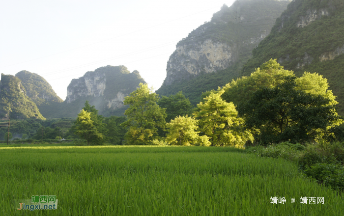 美丽的靖西，靖西旅游最佳季，爱布、二郎瀑布、十九渡桥风景大片 - 靖西网