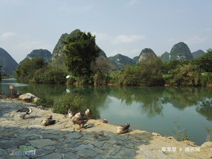 旧州风景，华为荣耀7拍照效果，给大家参考一下。 - 靖西网