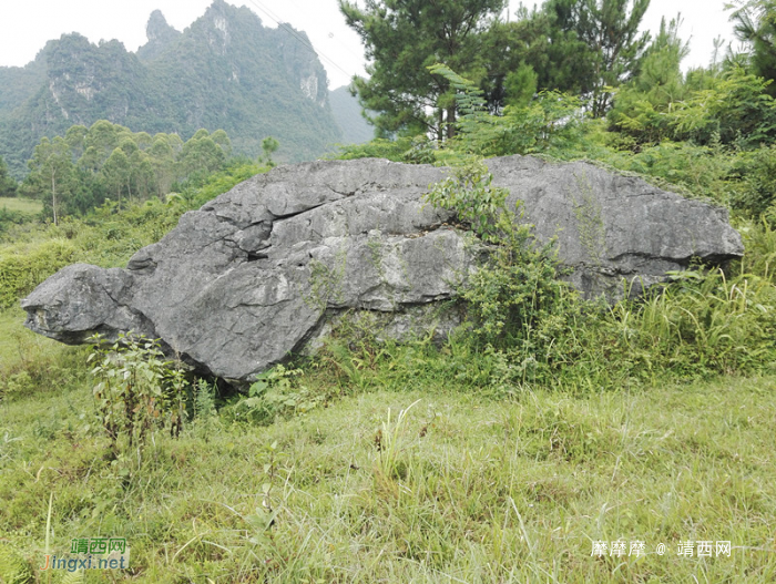 靖西武平镇凌结村的穿山隧洞和大石山龟，像吗？ - 靖西网