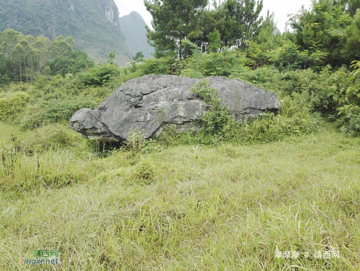 靖西武平镇凌结村的穿山隧洞和大石山龟，像吗？ - 靖西网