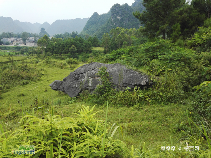 靖西武平镇凌结村的穿山隧洞和大石山龟，像吗？ - 靖西网