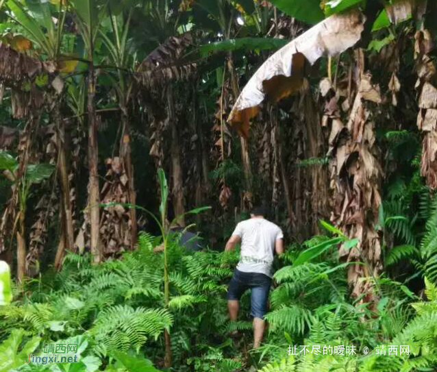 网友：来靖西带你去野外山林冒险，体验刺激与快乐 - 靖西网