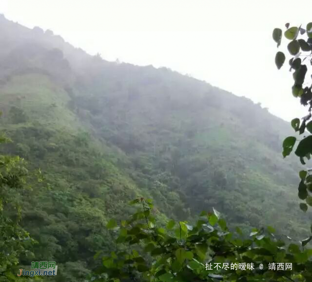 网友：来靖西带你去野外山林冒险，体验刺激与快乐 - 靖西网