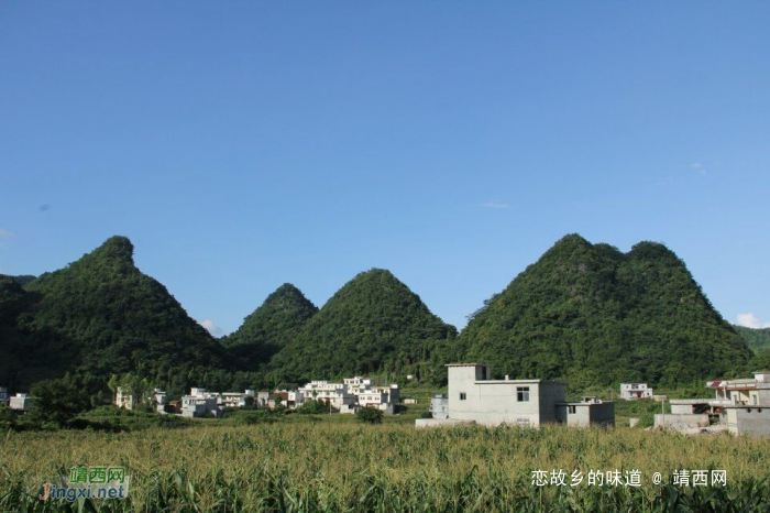 大自然的生命，大自然的味道 - 靖西网