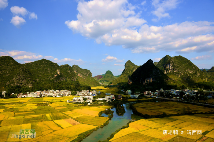 靖西田园，金色秋天，丰收的季节 - 靖西网