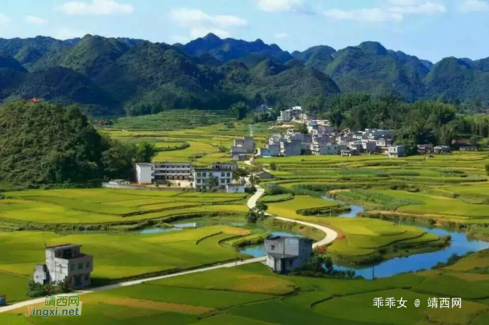 靖西平江秋收风景，美得让人窒息！ - 靖西网