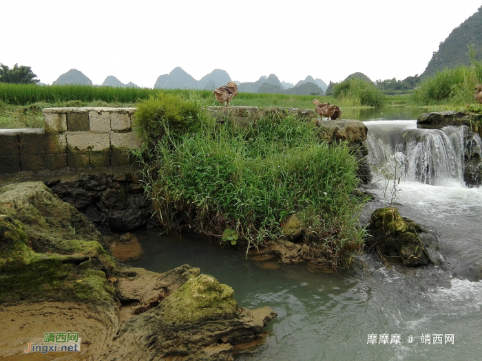 小乡村，小风景。 - 靖西网