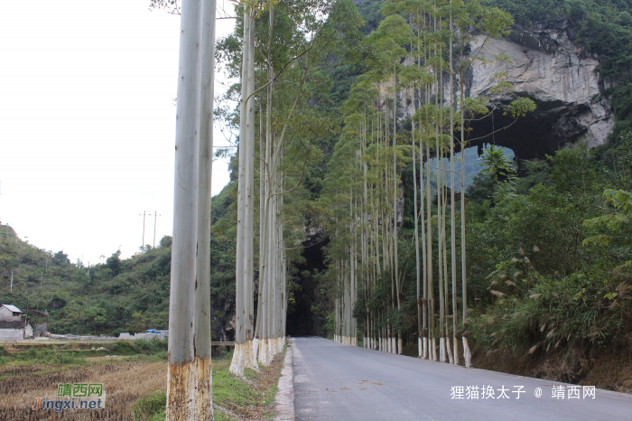 靖西安德镇照阳关一游 - 靖西网