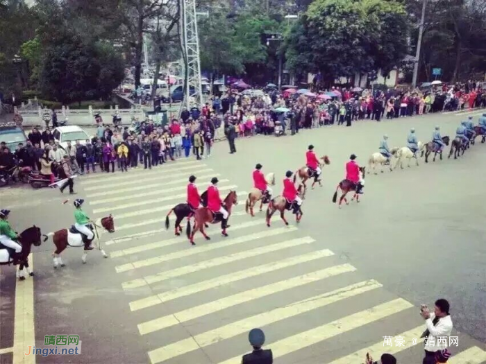 德保矮马上路 - 靖西网