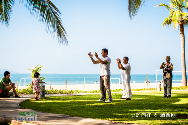 面朝大海、春暖花开 - 靖西网