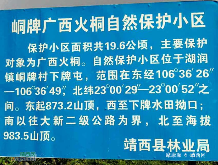 双12靖西就要变市了，请问靖西市有市花吗？你们认为什么花可以配. - 靖西网