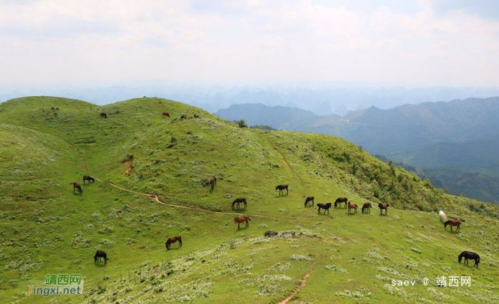 靖西同德乌鸦山- 小小高原景迷人 - 靖西网